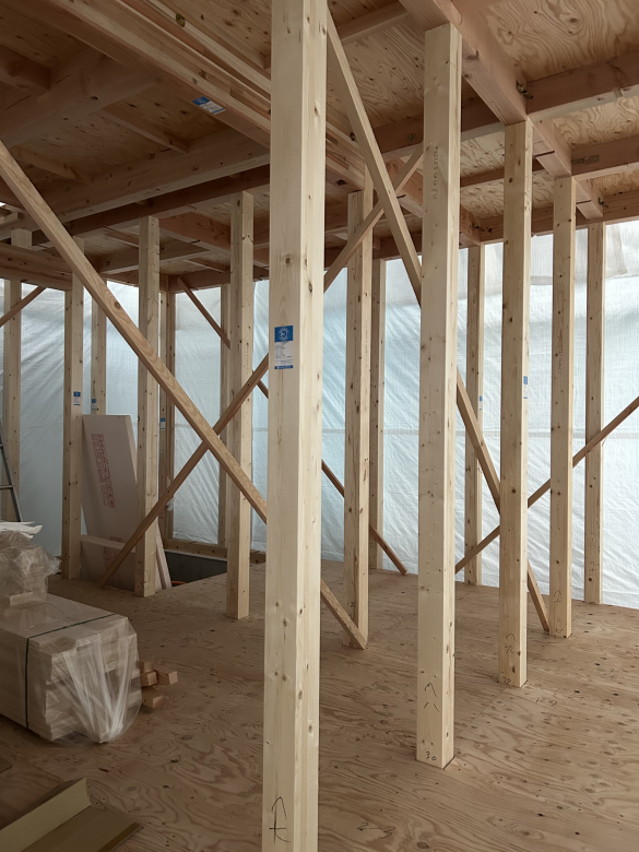 390fe029163539a0a12570d8e6fd1400