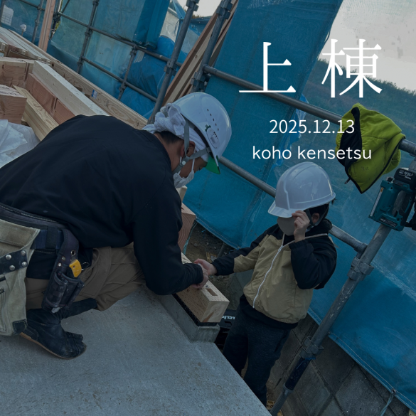 49e0df7bc1eec8f79a884641907cd623