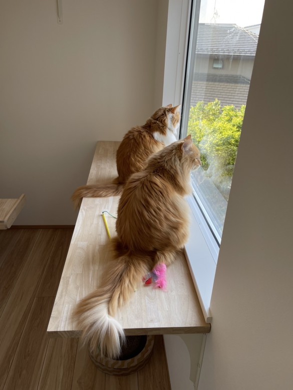 line_oa_chat_250428_090926