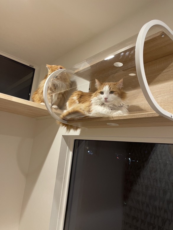 line_oa_chat_250430_103756