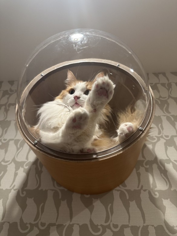 line_oa_chat_250430_103808